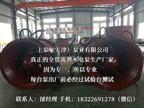 探索流體世界的隱秘力量 潛水貫流泵、全貫流閘門(mén)泵、燈泡泵與臥式全貫流泵技術(shù)解析